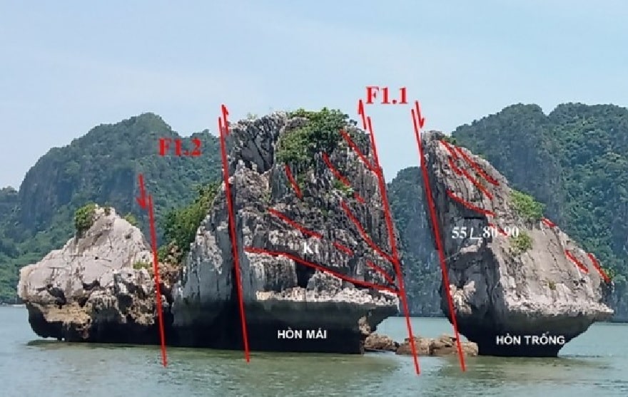 Hòn Gà Chọi (Trống Mái) biểu tượng của vịnh Hạ Long 10 F1.1 đã sụp xuống biển từ xưa kia và phần F1.2 sẽ bị sụp trong tương lai nếu không có biện pháp ngăn chặn