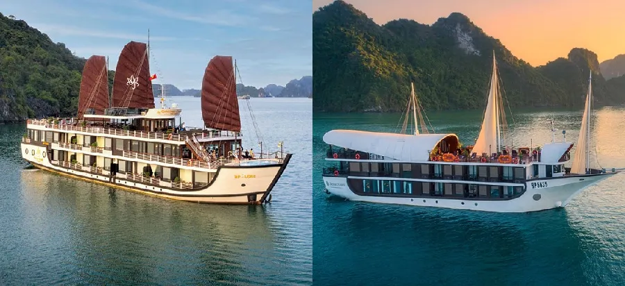 So sánh Du thuyền Orchid (trái) và Du thuyền Sena (phải)