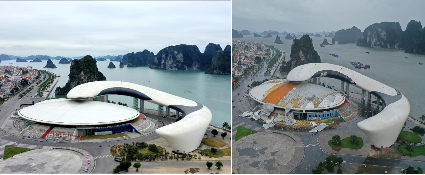 Cung cá heo Hạ Long trước và sau bão 1