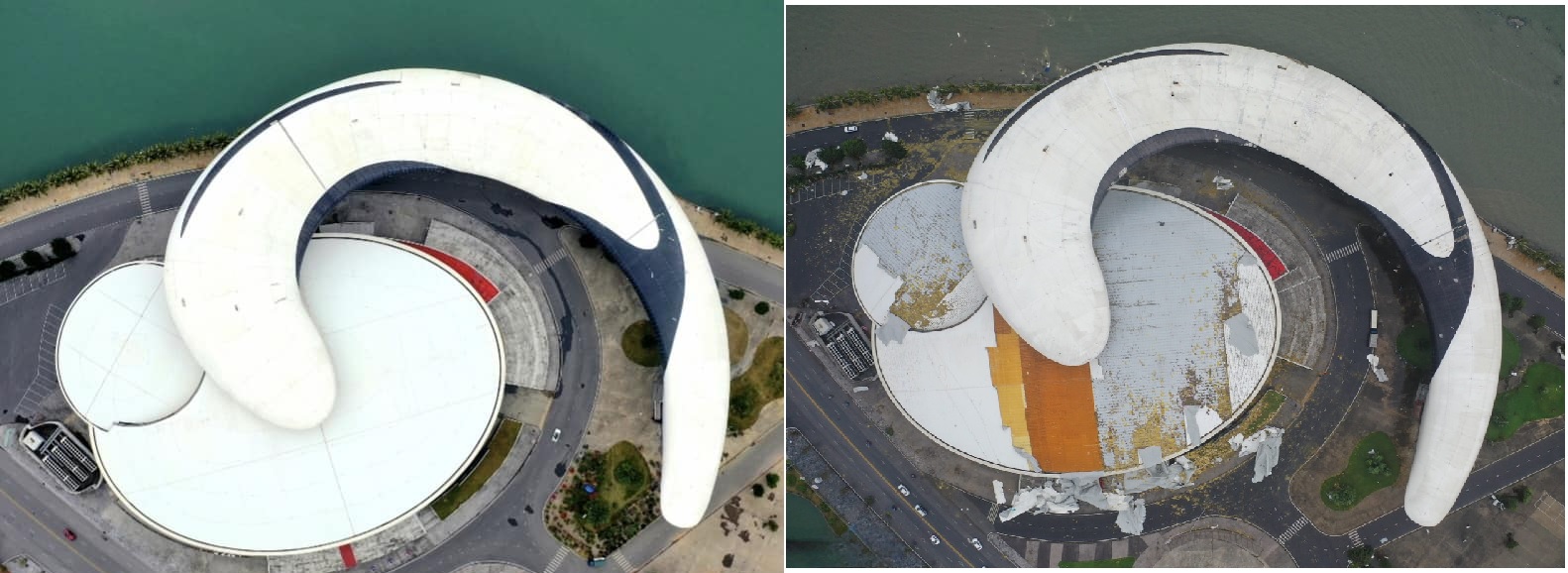 Cung ca heo Ha Long truoc va sau bao