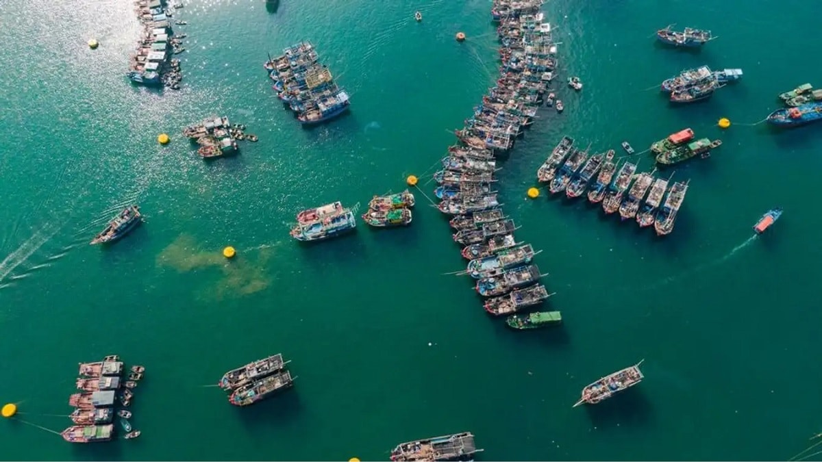 Cuốc sống ngư dân của người dân đảo Bạch Long Vĩ