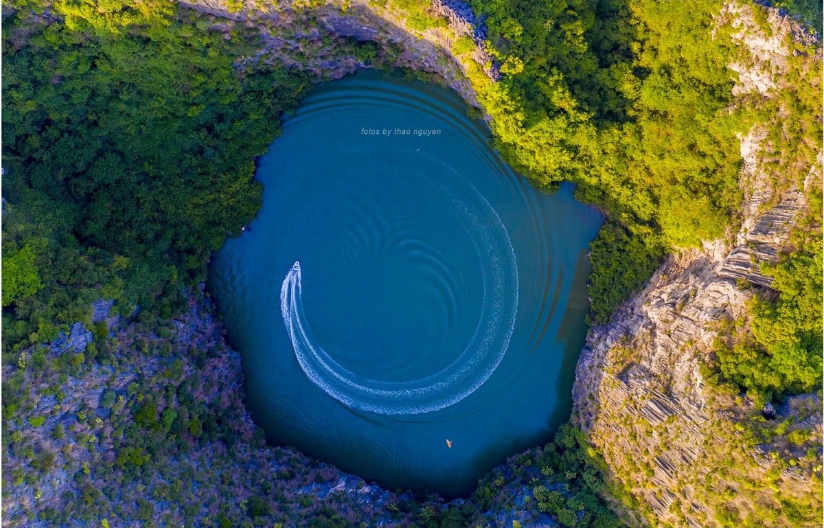 Hệ sinh thái Tùng Ánh