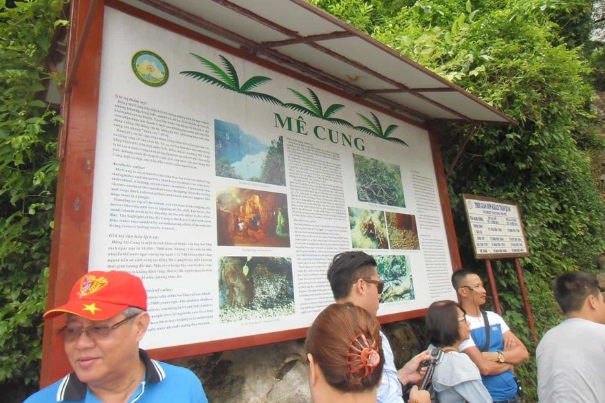 bảng giới thiệu động Mê Cung