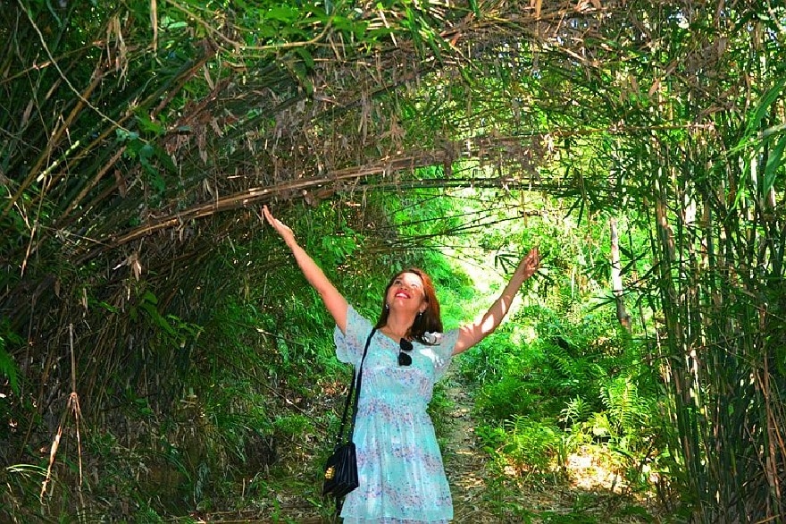 Rừng nguyên sinh đảo Ba Mùn