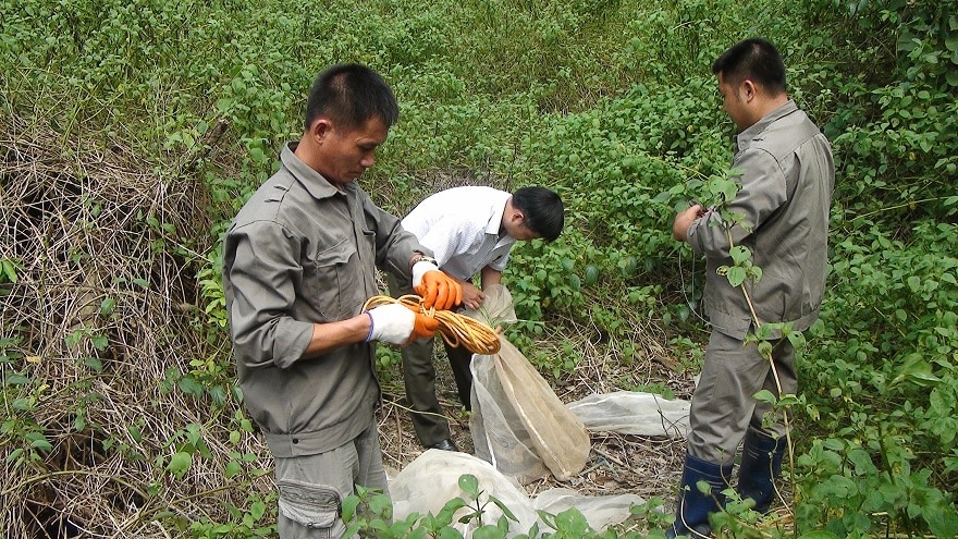 Trung tâm cứu hộ động vật Ba Mùn thả hàng chục cá thể khỉ và rắn về môi trường tự nhiên