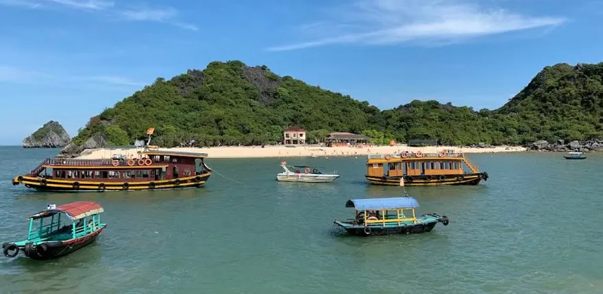 Du khách có thể di chuyển bằng tàu tới đảo Khỉ