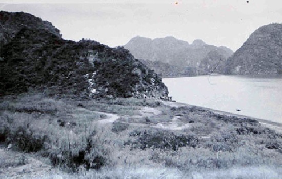 Khu vực di chỉ khảo cổ Cái Bèo