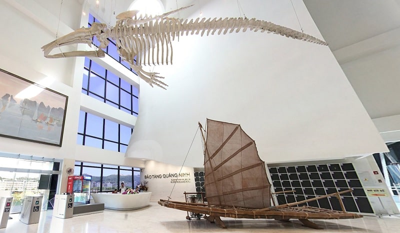 Bộ xương cá voi và mô hình thuyền buồm bảo tàng Quảng Ninh