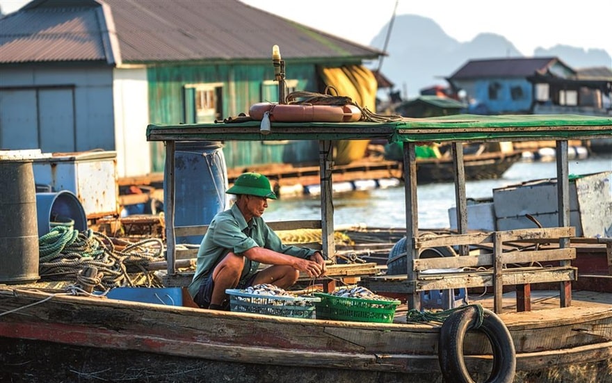 Du khách có thể mua hải sản tươi sống tại khu vực làng chài Ba Hang