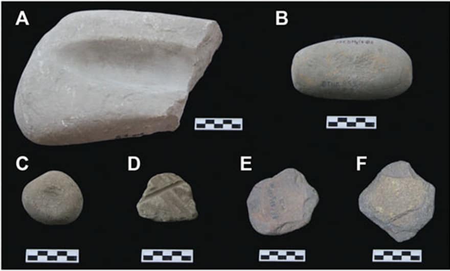 FIGURE 3. Typical stone tools collected from the Cai Beo site (Scale bar: 5 cm). (A) Grinding stone, (B) Muller/Pounder, (C) Pitted stone, (D) Stone tool with “Ha Long Mark”, (E) Scraper, (F) Pointed tool.