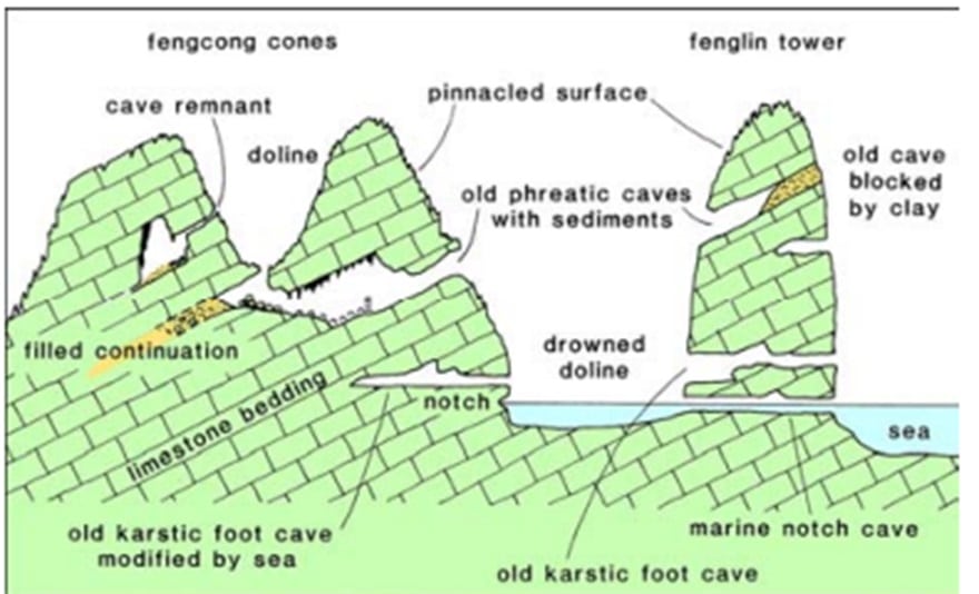 Hình 4. Sơ đồ thể hiện các loại hang động chính ở vùng núi đá vôi Vịnh Hạ Long.