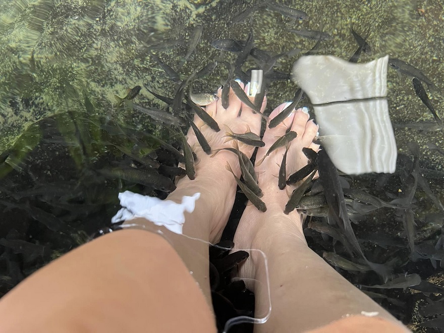 Làng chài Việt Hải (Cát Bà): Review từ A - Z 10 Ngâm chân mát - Xa tại suối cá dầm làng Việt Hải