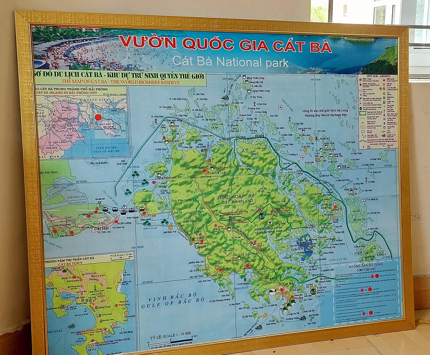 Vườn Quốc Gia Cát Bà: Hướng dẫn khám phá từ A-Z 8 Sơ đồ du lịch Cát bà - Khu dự trữ sinh quyển thế giới