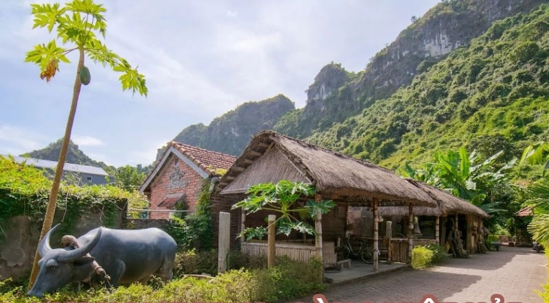 Làng chài Việt Hải (Cát Bà): Review từ A - Z 12 Trải nghiệm không gian trong lành và yên bình tại homestay