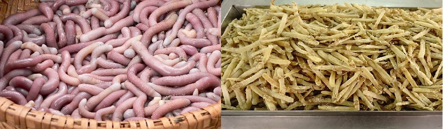 Sá Sùng tươi (trái) và Sá Sùng khô (phải)