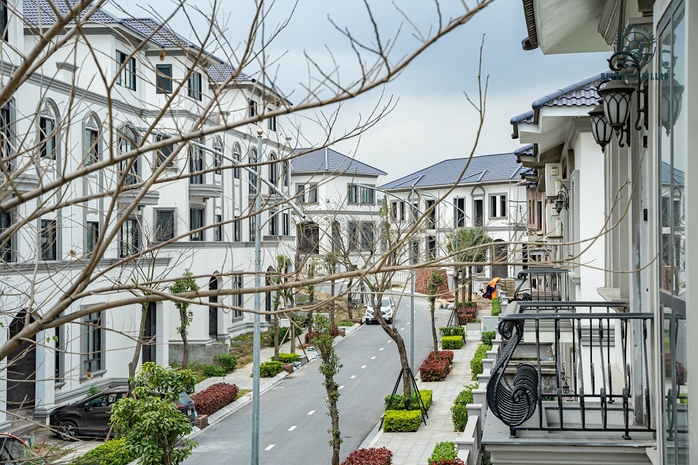 Vds Beverly Hill Tt07 07 01