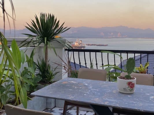 VDS - Queen Beverly Hill 9 Vds Queen Beverly Hill 01