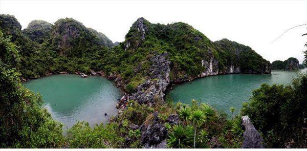 Hệ sinh thái Tùng Áng