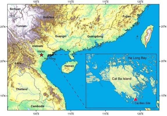 HÌNH 1. Vị trí khu vực Cái Bèo. Địa điểm được hiển thị bằng một hình tam giác màu đỏ.
