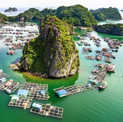 Khám phá làng chài cổ Vịnh Lan Hạ