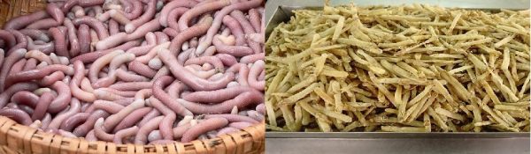 Sá Sùng tươi (trái) và Sá Sùng khô (phải)