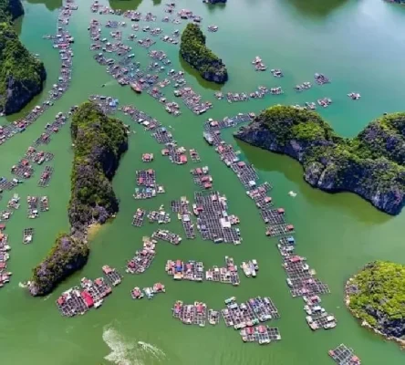 Khám phá Làng chài Cổ tại Cát Bà