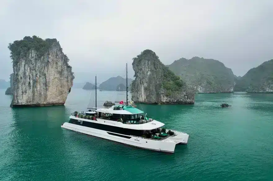 Du thuyền catamaran premium 2
